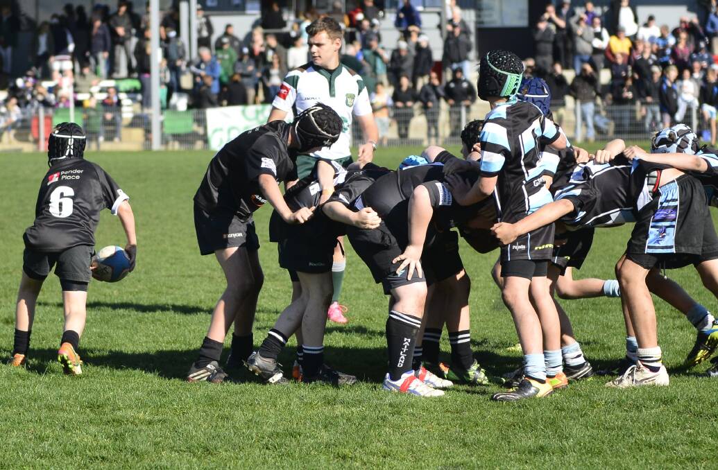 SKILL: The Blacks spread the ball after winning a scrum against Nelson Bay in the under-10 grand final at Marcellin Park. Picture: Michael Hartshorn