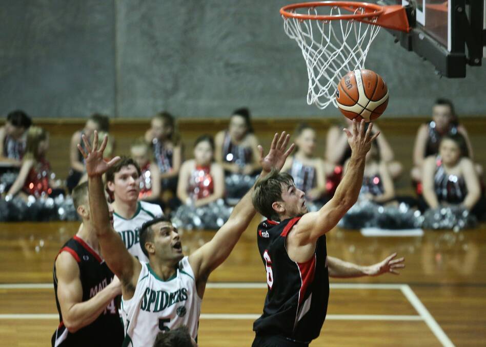 ENERGETIC: Mustangs guard Jack Edwards was among Maitland's best against Hornsby Spiders. Photo: MARINA NEIL