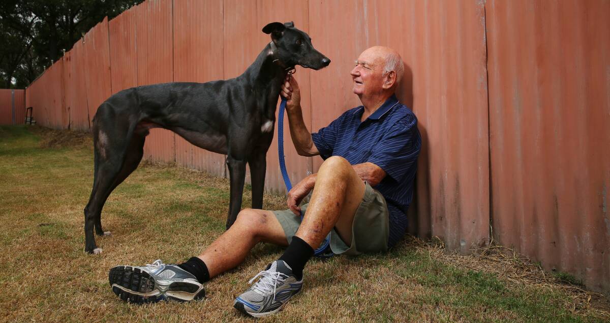 GREAT MATES: Abermain trainer Jimmy McGlinn with Bob's Uncle which is sentimental favourite for Friday's Maitland Gold Cup. Photo: MAX MASON-HUBERS