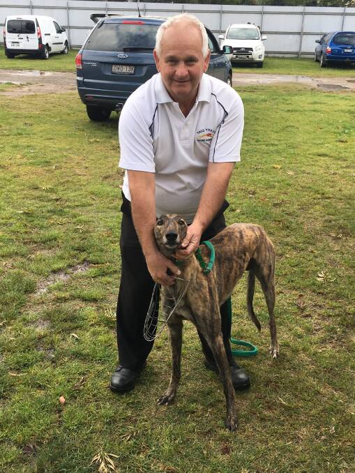 Alan Proctor with Ganbatte, NSW GBOTA Member Dog of the meeting at Maitland on Thursday.