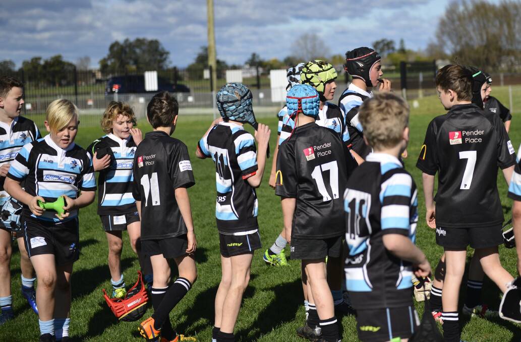 GOOD SPORTS: Maitland Blacks and Nelson Bay players shake hands after the tightly contested under-10 grand final. Picture: Michael Hartshorn