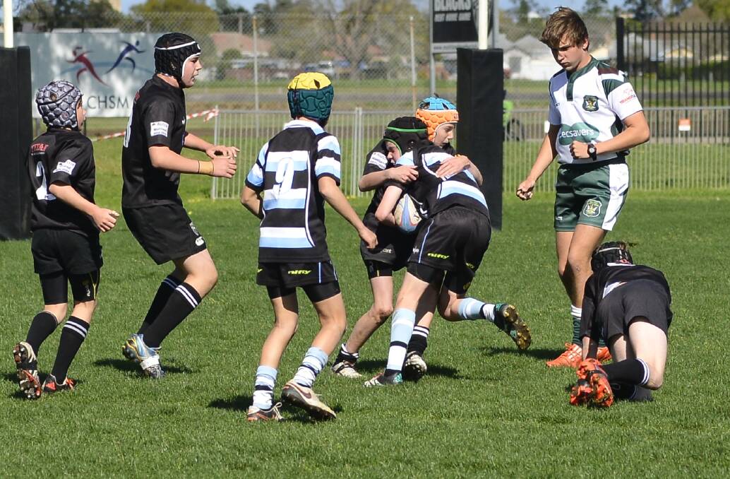 STOUT DEFENCE: The Maitland Blacks under 12s hold out an attack by Nelson Bay Gropers in Saturday's grand final. Picture: Michael Hartshorn