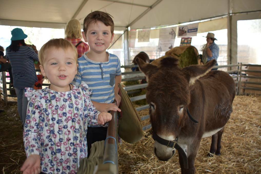 ANIMAL NURSERY: Lexi and Chayse Saunders in the animal nursery where they met a donkey. 
