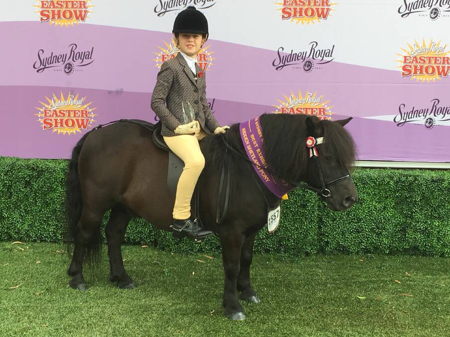 SYDNEY SHOW WIN: Hallie Halpin-Bishop, 9, and her horse Eric at the Sydney Royal Easter Show. The pair won three classes at the show including Champion Ridden Shetland Pony.