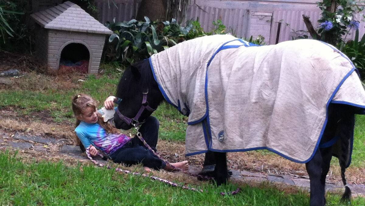 AT HOME: Hallie Halpin-Bishop feeds her pony Eric a sandwich. 