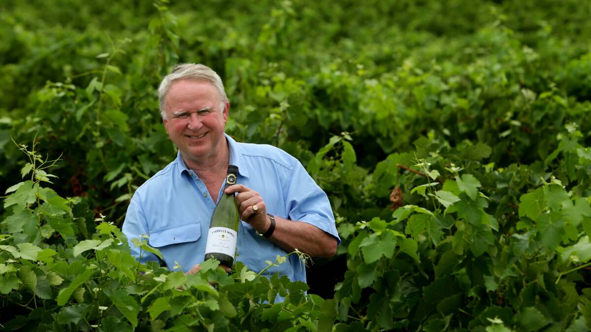WELCOME: Tyrrell's Wines managing director Bruce Tyrrell said the rainfall in the Hunter Valley over the weekend was wonderful.