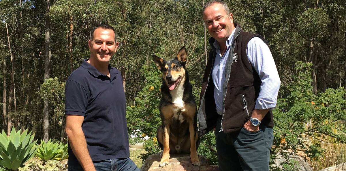 DOG APP: Smart Sports Solutons CEO Pierre Malou, kelpie-cross Neville and University of Sydney professor Paul McGreevy. Picture: Winnie Stubbs