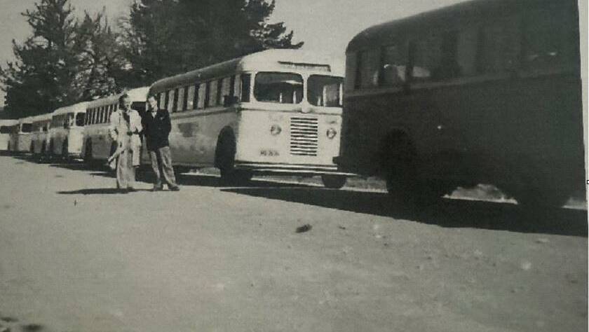 The convoy of buses from Bathurst. Picture M Hawryluk Collection.