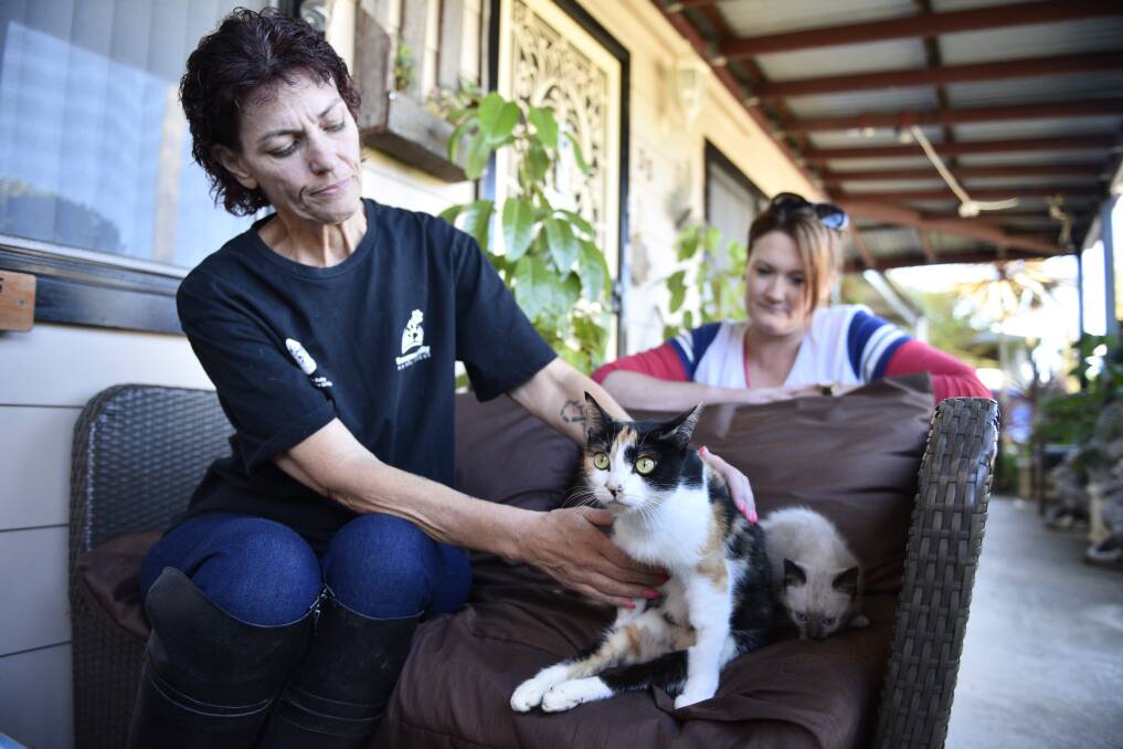 SHAME: Shelter owner Dee Walton and Senior Constable Jackie Haberfield with Princess the cat paralysed by alleged abuse. Picture: PERRY DUFFIN
