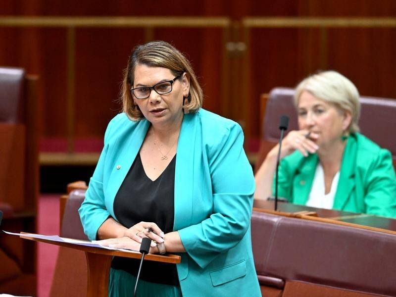 Greens Senator Dorinda Cox says the government needs to stop making excuses over Closing the Gap. (Lukas Coch/AAP PHOTOS)