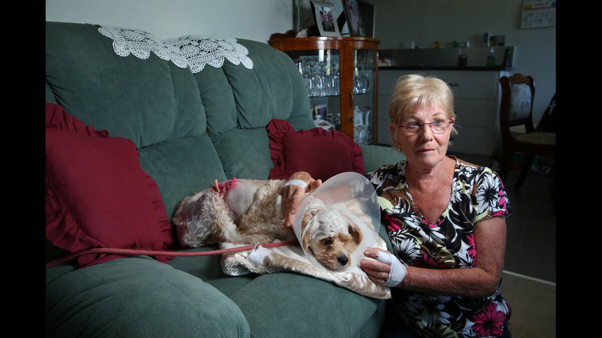 HOME: Bonnie and Jenny were both traumatised by the dog attack. Picture by Max Mason-Hubers.