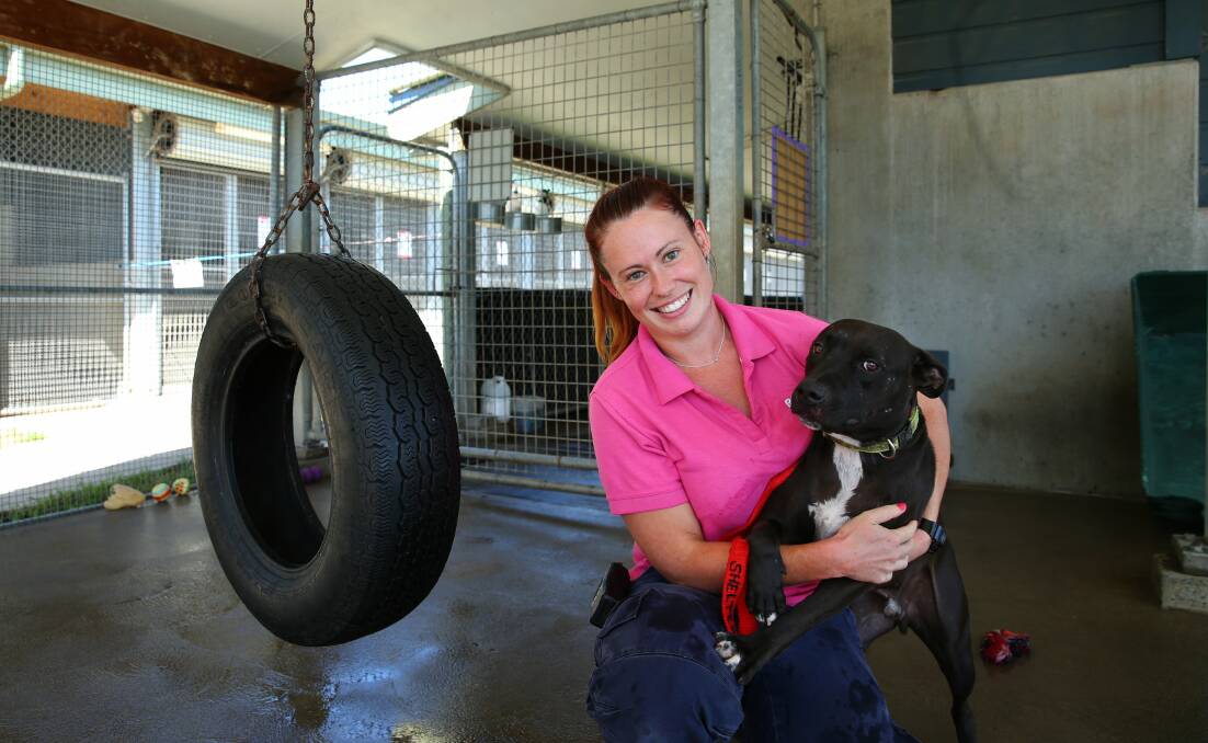 COME FIND A FRIEND:  The RSPCA’s Abby Waters with Koda, one of the dogs up for adoption.  	Picture MAX MASON- HUBERS
