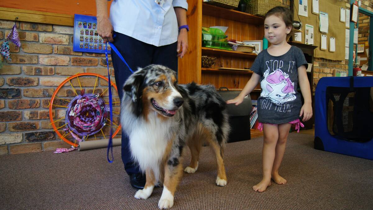 DOGGIE DO’S AND DON’TS: Scarlet Fitzpatrick, of Clarence Town Preschool, has learnt how to approach a dog through a new program that aims to prevent dog attacks.