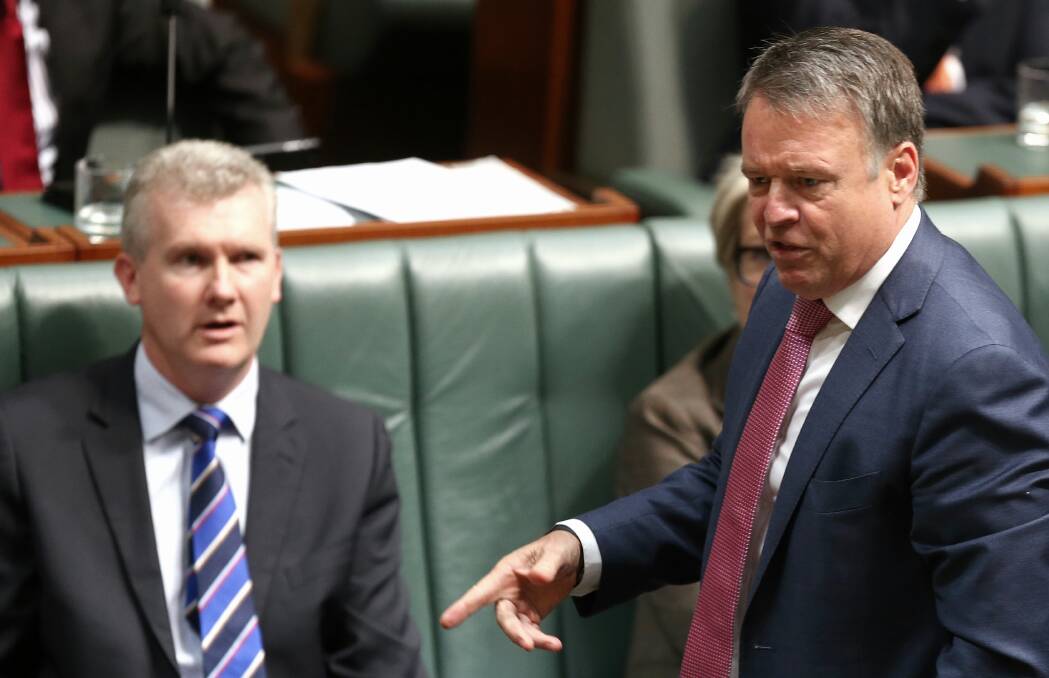 Critical: Hunter MP Joel Fitzgibbon has attacked the NBN roll-out.
