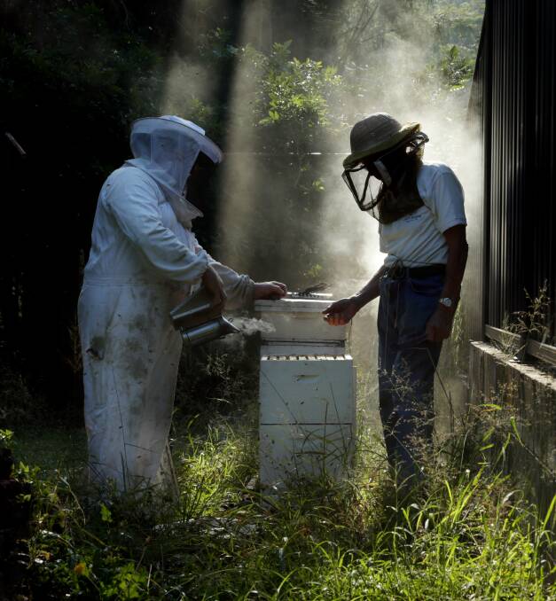 Abuzz: Life Member of the Amateur Bee Keeping Association of NSW, Jim Wright, with his son Iain Wright. Picture: SIMONE DE PEAK.