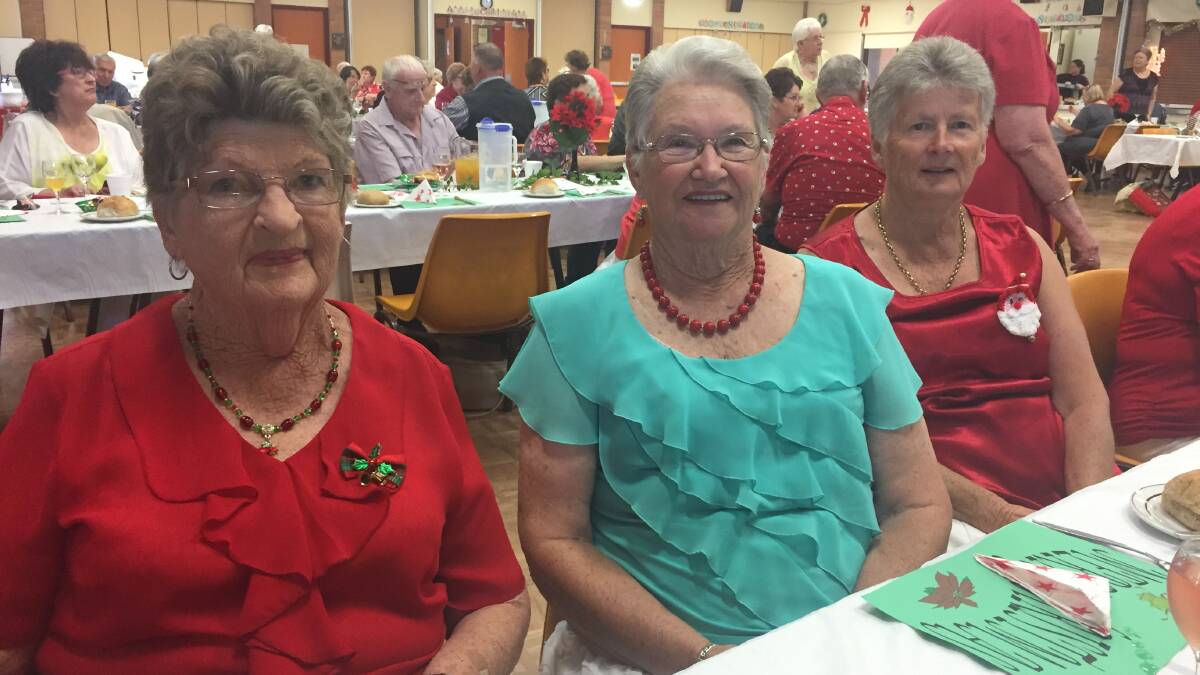 Social photos from Maitland Senior Citizens Association's Christmas party. Pictures: Nick Bielby